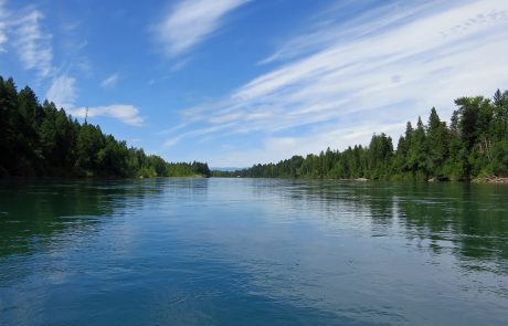 The Flathead River in Northwest Montana