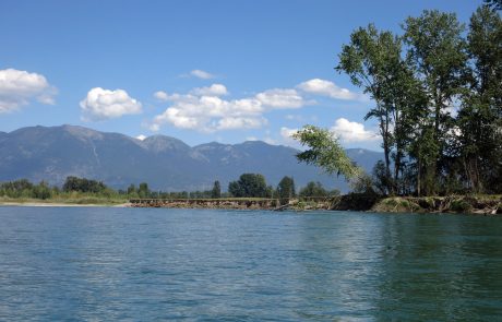 Flathead River in Northwest Montana