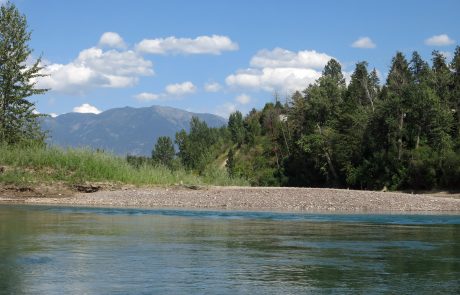 Flathead River in Northwest Montana