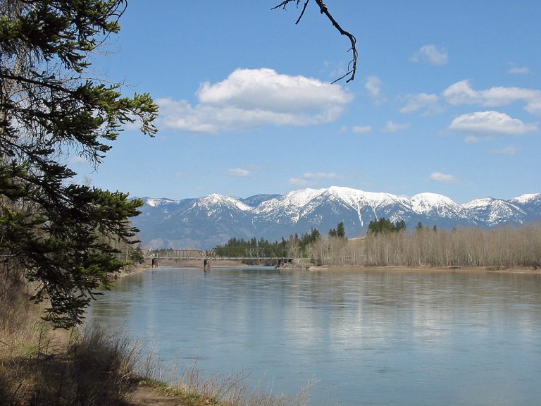 The Flathead River in Montana | Detailed Fishing and Floating Information and Photos