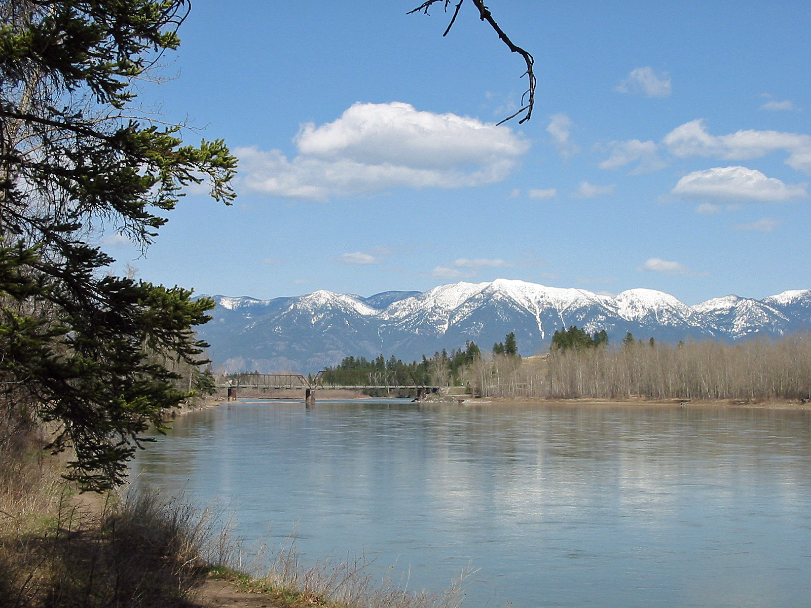 Fall Fly Fishing from Float Boat on North Fork of Flathead River Shower  Curtain