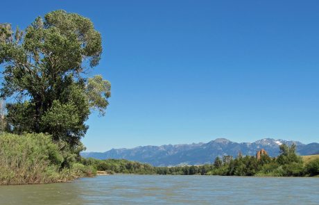 Yellowstone River in the Paradise Valley of Montana