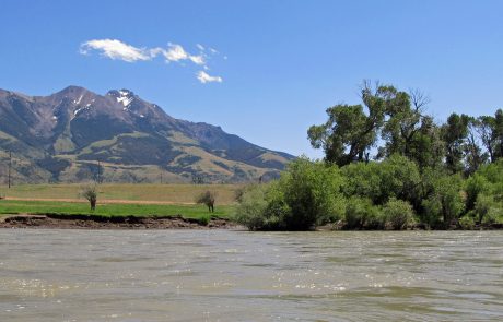 Yellowstone River in the Paradise Valley of Montana