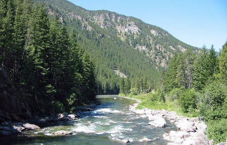 Gallatin River in Montana