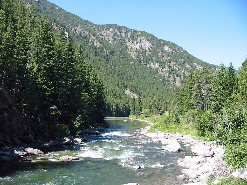 Gallatin River Learn to Fly Fish Montana Whitewater