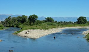 Lower Gallatin River