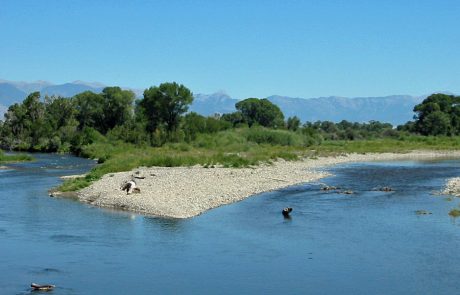 Lower Gallatin River in Montana