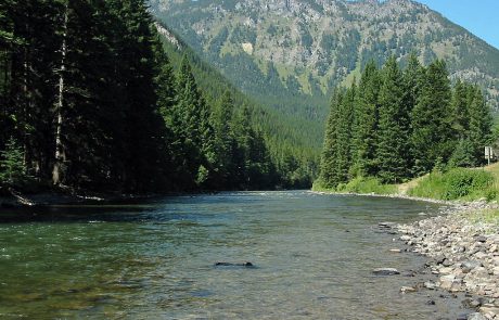 Gallatin River in Montana