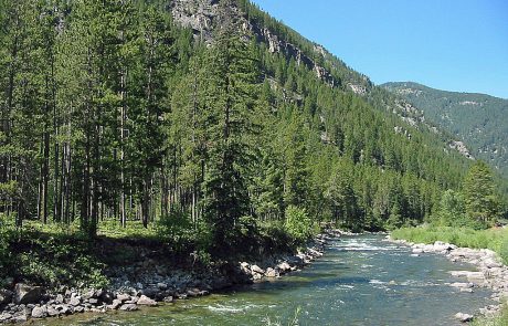 Gallatin River in Montana