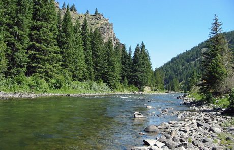 Gallatin River in Montana