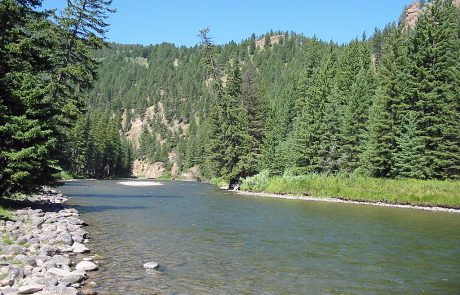 Gallatin River in Montana