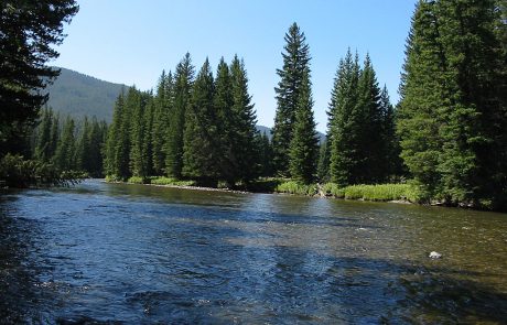 Gallatin River in Montana