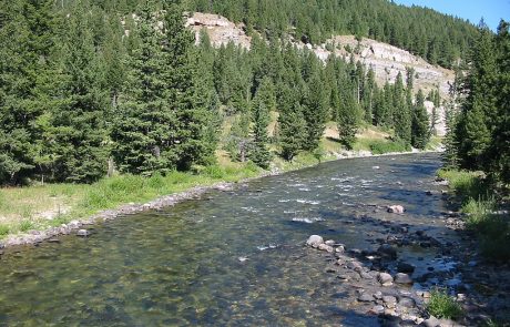 Gallatin River in Montana