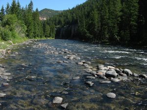 The Gallatin River in Montana