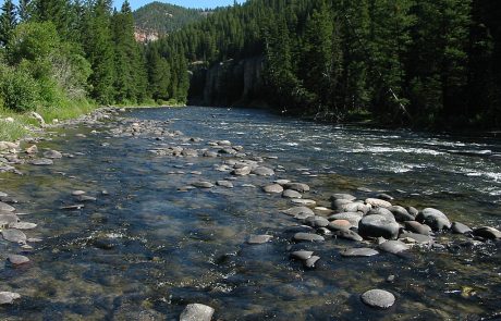 Gallatin River in Montana