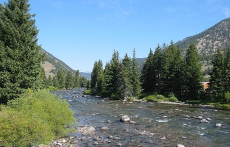 Gallatin River