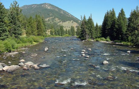 Gallatin River