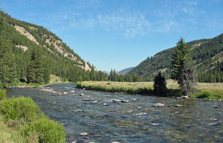 Gallatin River