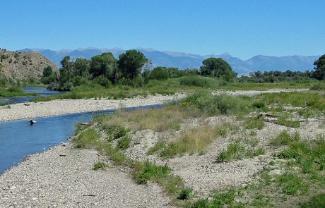 Lower Gallatin River in Montana