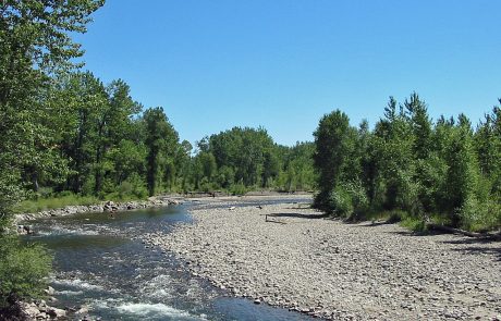 Lower Gallatin River in Montana