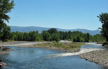 Lower Gallatin River in Montana