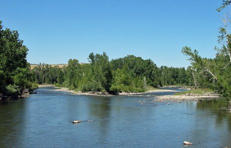 Lower Gallatin River in Montana