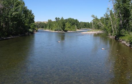 Lower Gallatin River in Montana