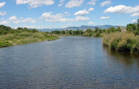 Jefferson River in Montana