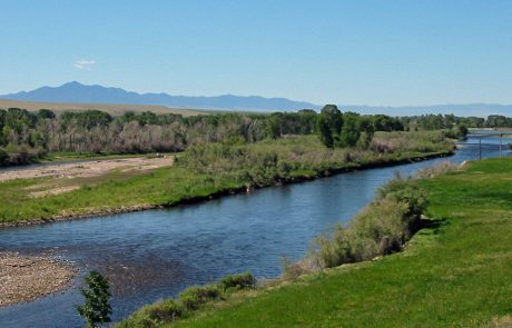 Jefferson River in Montana