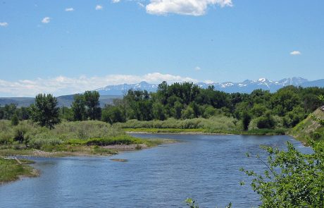 Jefferson River in Montana