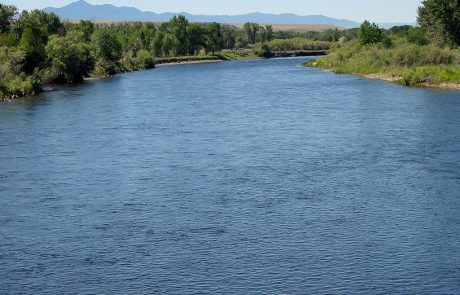 Jefferson River in Montana