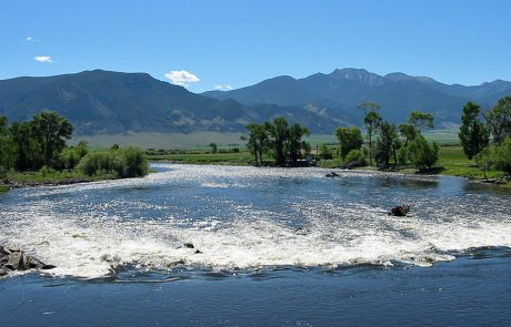 Jefferson River in Montana