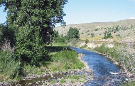 Little Blackfoot River in Montana
