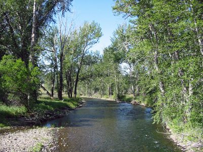 Little Blackfoot River in Montana