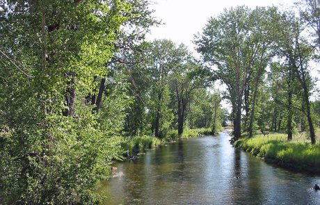 Little Blackfoot River in Montana