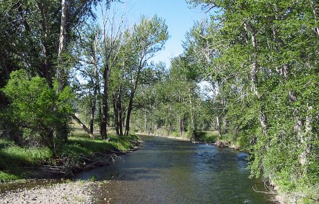 Little Blackfoot River in Montana