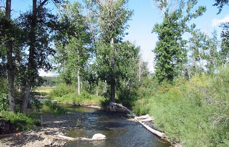 Little Blackfoot River in Montana