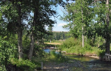 Little Blackfoot River in Montana