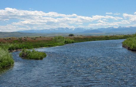 The Lower Madison River in Montana