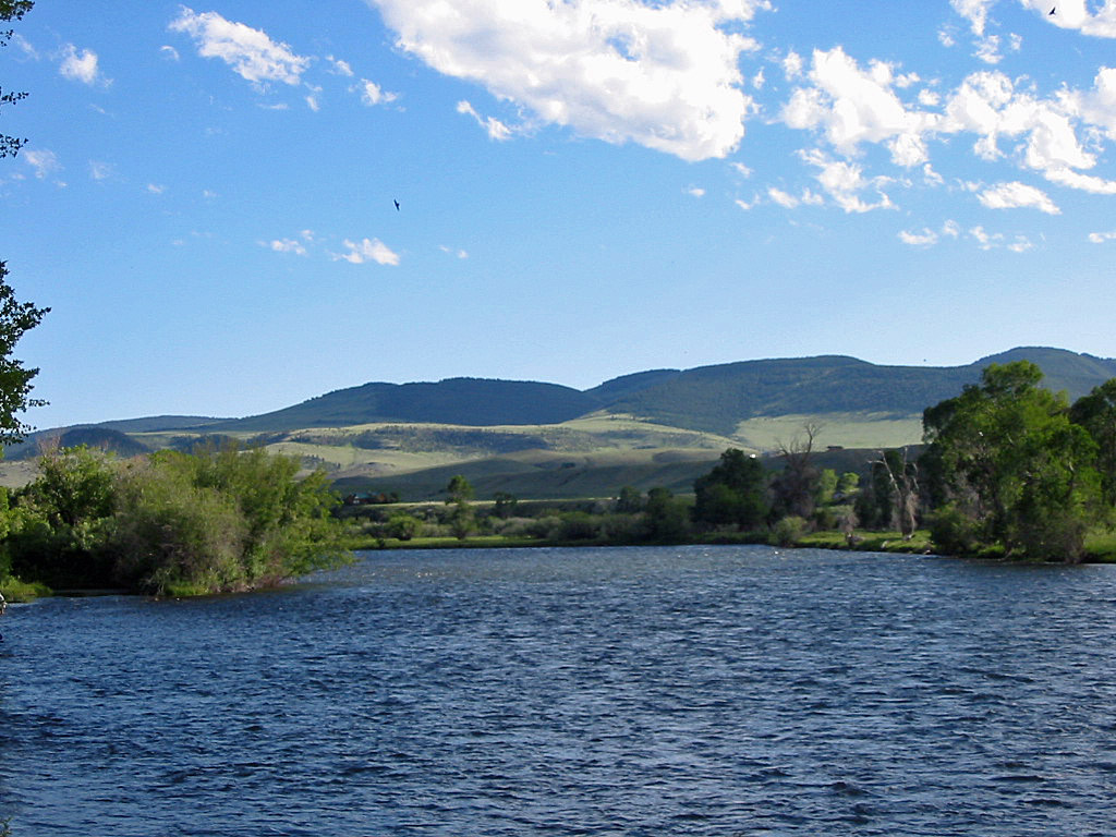 The Madison River  Detailed Fly Fishing Information and Photos