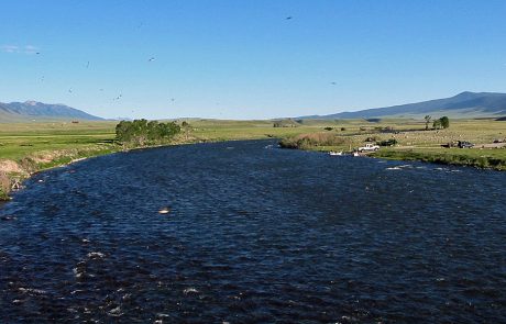 The Madison River