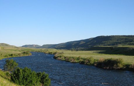 The Madison River in Montana