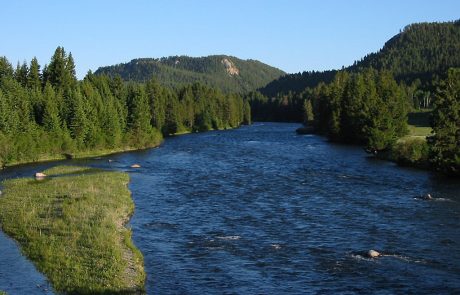 The Madison River in Montana