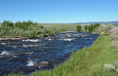 Whitewater on the Madison River