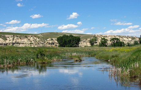 Lower Madison River