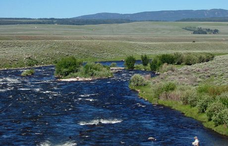 The Madison River in Montana