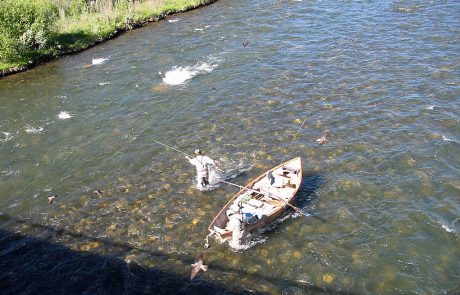 Fly Fishing at Raynolds Pass Fishing Access Site