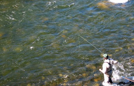 Fly Fishing at Raynolds Pass Fishing Access Site