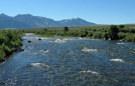 The Madison River Downstream from Raynolds Pass Fishing Access Site