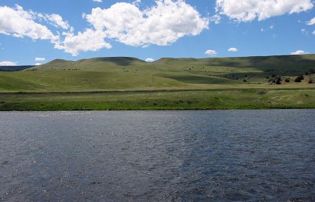 Large Fields of Grass Along the Madison River in Montana